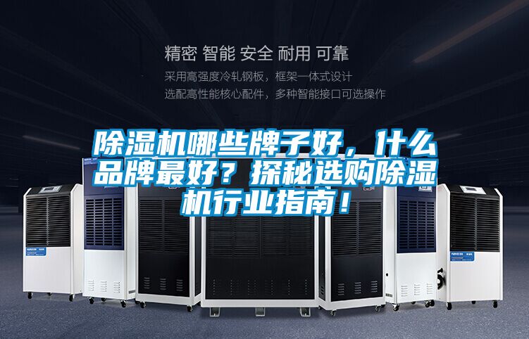 除濕機(jī)哪些牌子好，什么品牌最好？探秘選購除濕機(jī)行業(yè)指南！