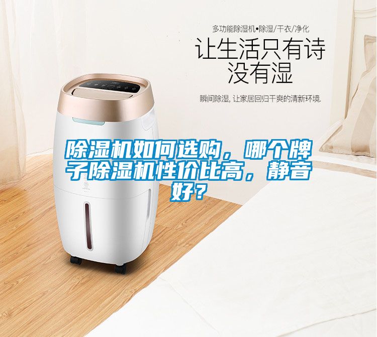 除濕機(jī)如何選購(gòu)，哪個(gè)牌子除濕機(jī)性價(jià)比高，靜音好？
