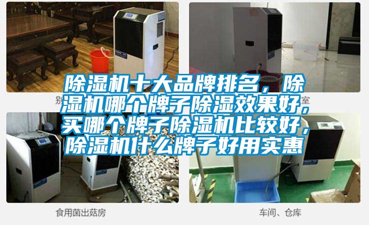 除濕機(jī)十大品牌排名，除濕機(jī)哪個(gè)牌子除濕效果好，買哪個(gè)牌子除濕機(jī)比較好，除濕機(jī)什么牌子好用實(shí)惠