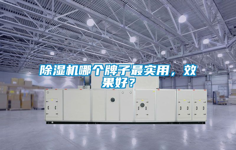 除濕機(jī)哪個牌子最實(shí)用，效果好？