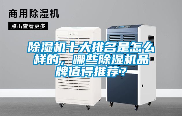 除濕機(jī)十大排名是怎么樣的，哪些除濕機(jī)品牌值得推薦？