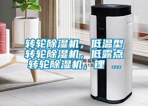 轉(zhuǎn)輪除濕機(jī)，低溫型轉(zhuǎn)輪除濕機(jī)，低露點(diǎn)轉(zhuǎn)輪除濕機(jī)，鋰 ...