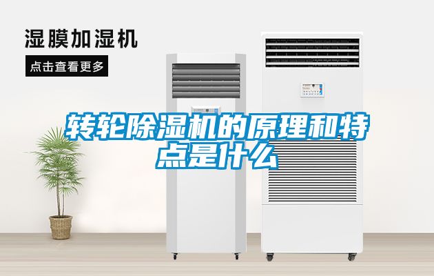 轉輪除濕機的原理和特點是什么