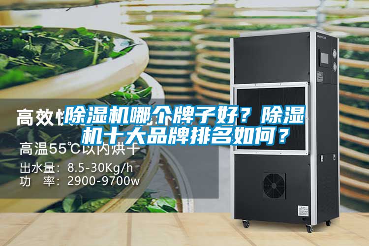 除濕機(jī)哪個牌子好？除濕機(jī)十大品牌排名如何？