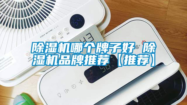 除濕機(jī)哪個牌子好 除濕機(jī)品牌推薦【推薦】