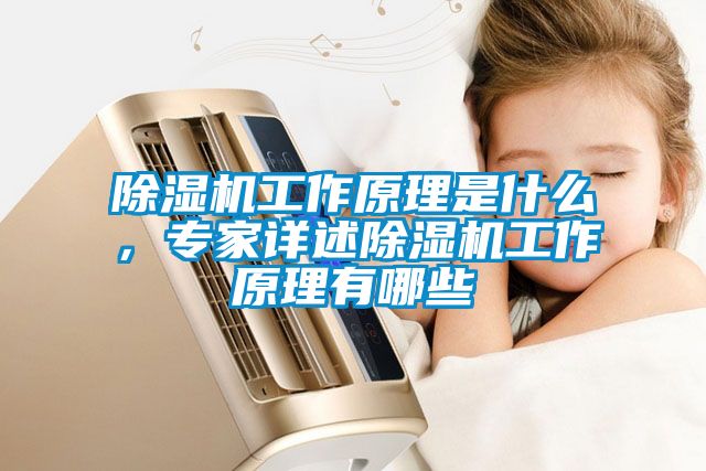 除濕機(jī)工作原理是什么，專(zhuān)家詳述除濕機(jī)工作原理有哪些