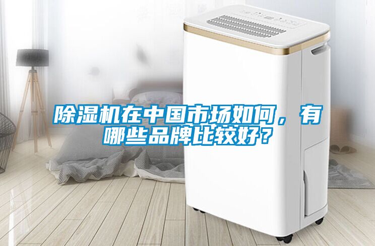 除濕機(jī)在中國市場如何，有哪些品牌比較好？
