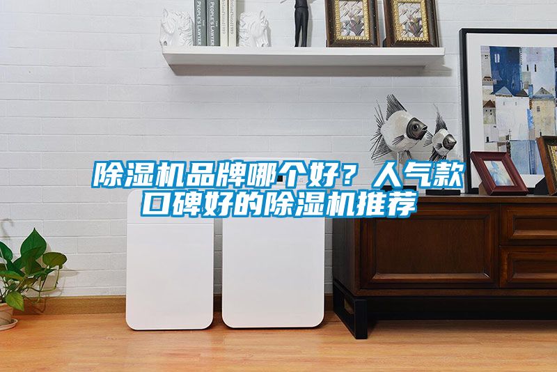 除濕機(jī)品牌哪個好？人氣款口碑好的除濕機(jī)推薦