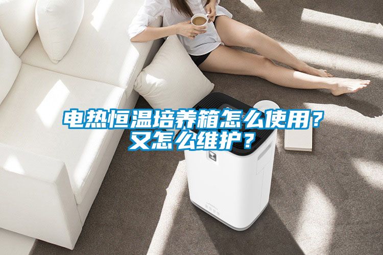 電熱恒溫培養(yǎng)箱怎么使用？又怎么維護(hù)？