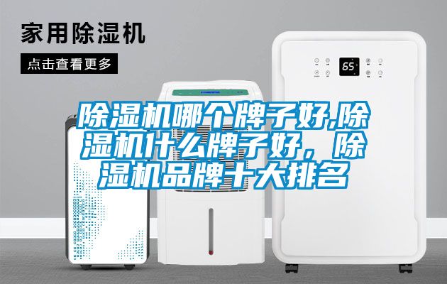 除濕機(jī)哪個(gè)牌子好,除濕機(jī)什么牌子好，除濕機(jī)品牌十大排名
