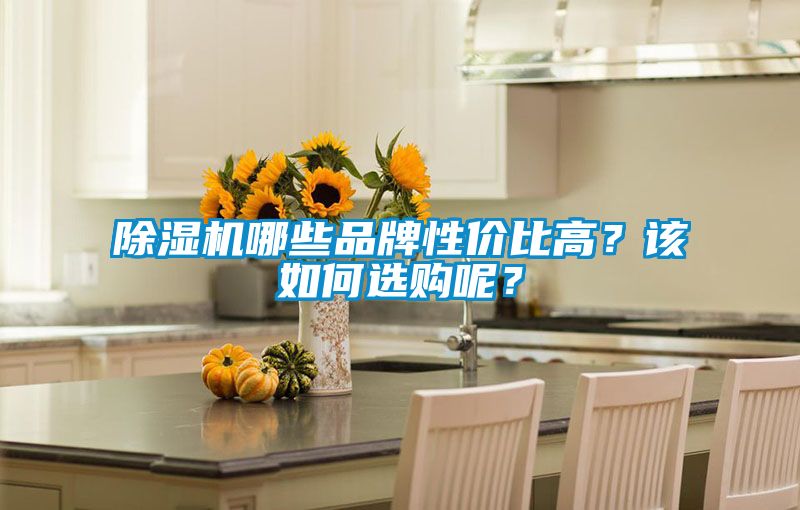 除濕機哪些品牌性價比高？該如何選購呢？