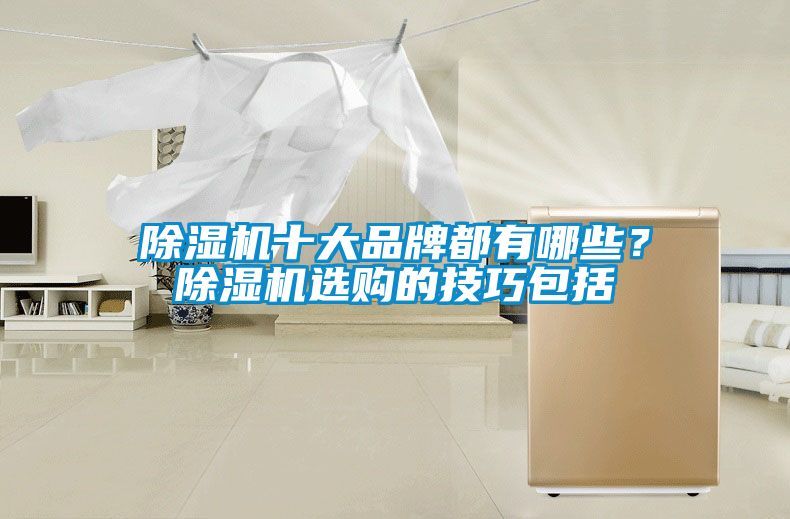 除濕機十大品牌都有哪些？除濕機選購的技巧包括