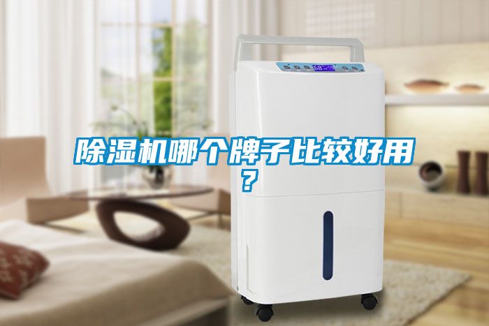 除濕機(jī)哪個(gè)牌子比較好用？