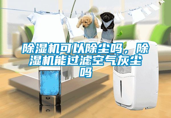 除濕機(jī)可以除塵嗎，除濕機(jī)能過濾空氣灰塵嗎