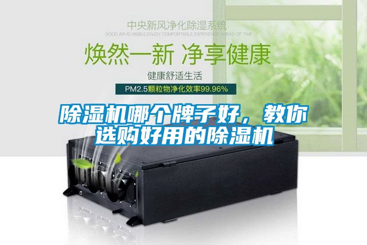 除濕機哪個牌子好，教你選購好用的除濕機