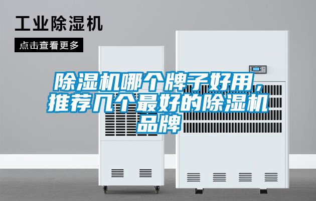 除濕機(jī)哪個(gè)牌子好用，推薦幾個(gè)最好的除濕機(jī)品牌
