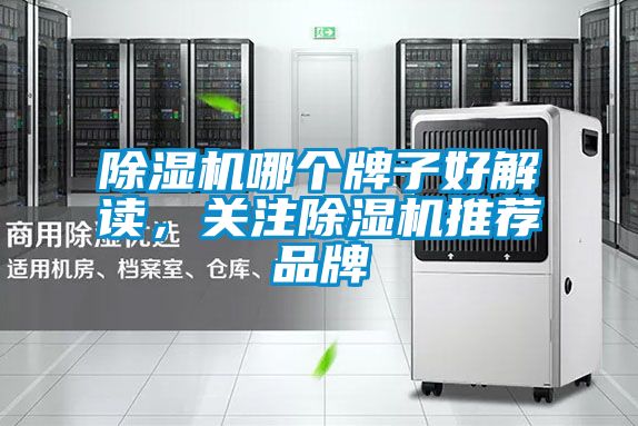 除濕機(jī)哪個(gè)牌子好解讀，關(guān)注除濕機(jī)推薦品牌