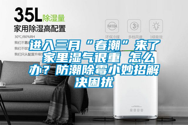 進(jìn)入三月“春潮”來了 家里濕氣很重 怎么辦？防潮除霉小妙招解決困擾