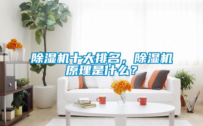除濕機(jī)十大排名，除濕機(jī)原理是什么？