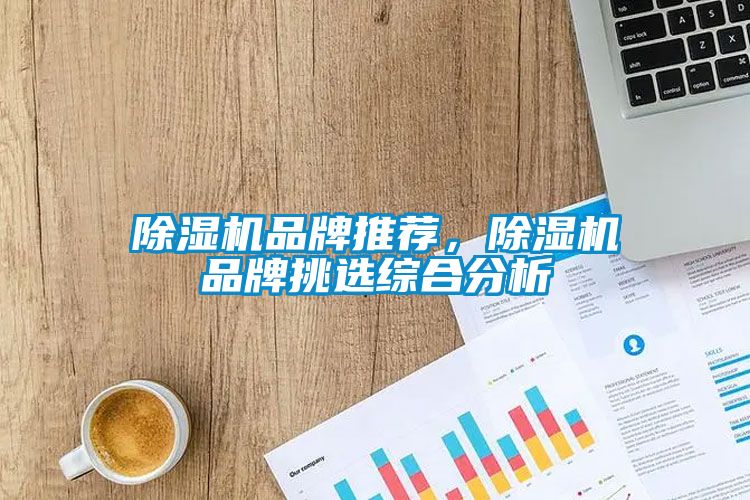除濕機(jī)品牌推薦，除濕機(jī)品牌挑選綜合分析