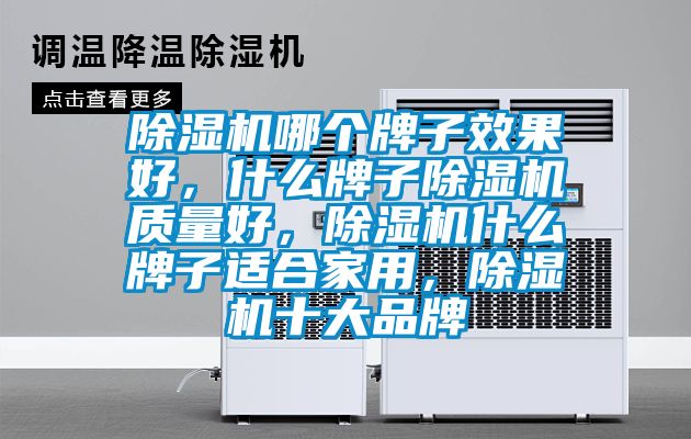 除濕機(jī)哪個(gè)牌子效果好，什么牌子除濕機(jī)質(zhì)量好，除濕機(jī)什么牌子適合家用，除濕機(jī)十大品牌