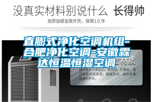 直膨式凈化空調(diào)機組-合肥凈化空調(diào)-安徽霖達恒溫恒濕空調(diào)