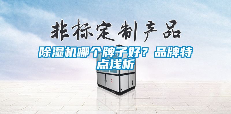 除濕機哪個牌子好？品牌特點淺析