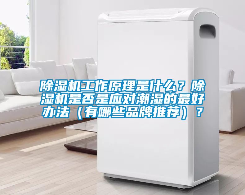 除濕機(jī)工作原理是什么？除濕機(jī)是否是應(yīng)對(duì)潮濕的最好辦法（有哪些品牌推薦）？