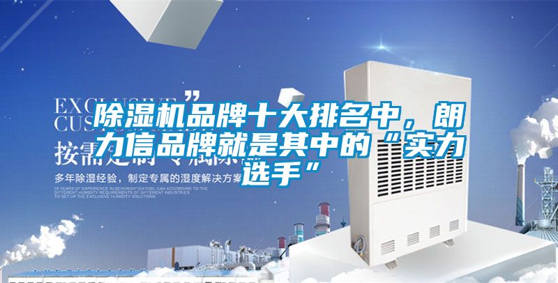 除濕機(jī)品牌十大排名中，朗力信品牌就是其中的“實(shí)力選手”