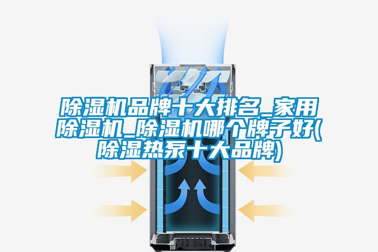 除濕機(jī)品牌十大排名_家用除濕機(jī)_除濕機(jī)哪個牌子好(除濕熱泵十大品牌)