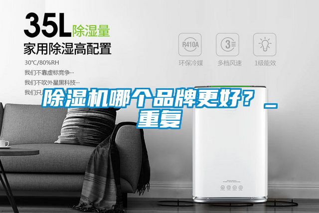 除濕機(jī)哪個(gè)品牌更好？_重復(fù)