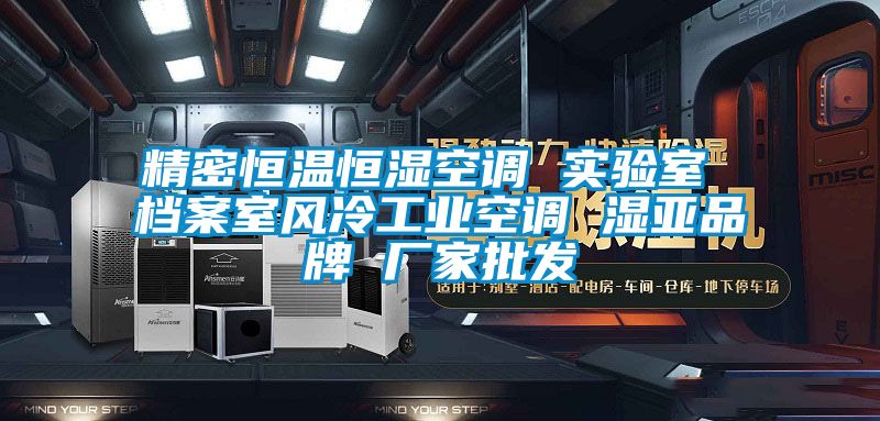 精密恒溫恒濕空調 實驗室 檔案室風冷工業(yè)空調 濕亞品牌 廠家批發(fā)