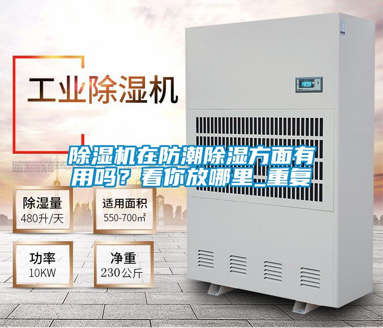 除濕機(jī)在防潮除濕方面有用嗎？看你放哪里_重復(fù)