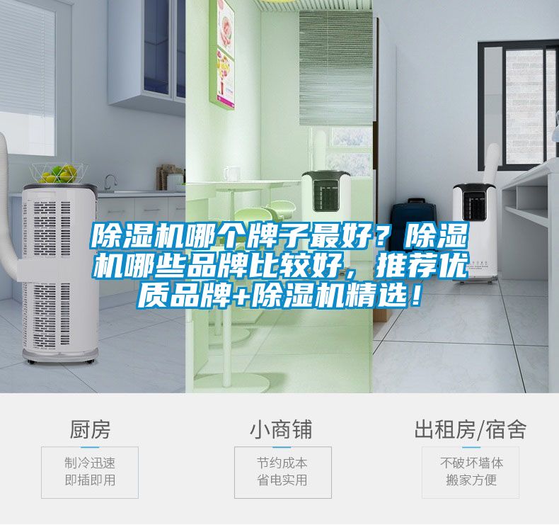 除濕機哪個牌子最好？除濕機哪些品牌比較好，推薦優(yōu)質(zhì)品牌+除濕機精選！