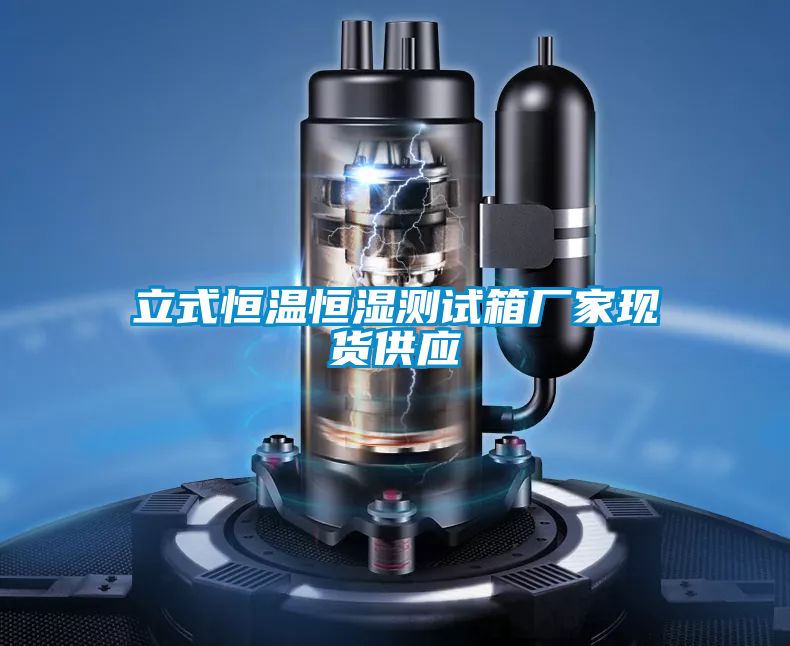 立式恒溫恒濕測試箱廠家現(xiàn)貨供應
