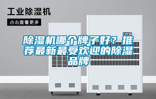 除濕機哪個牌子好？推薦最新最受歡迎的除濕品牌