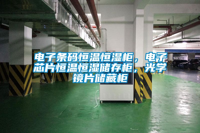 電子條碼恒溫恒濕柜，電子芯片恒溫恒濕儲存柜，光學(xué)鏡片儲藏柜
