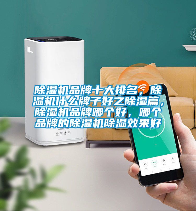 除濕機(jī)品牌十大排名，除濕機(jī)什么牌子好之除濕篇，除濕機(jī)品牌哪個(gè)好，哪個(gè)品牌的除濕機(jī)除濕效果好