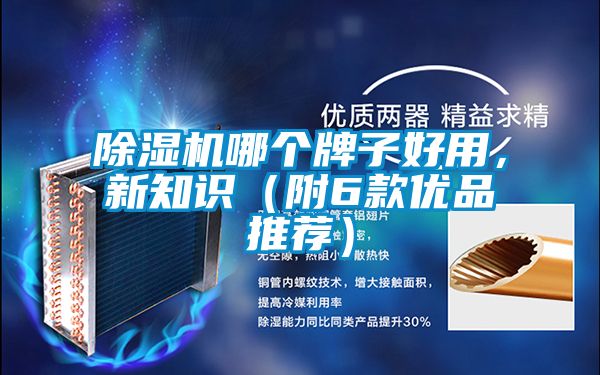 除濕機哪個牌子好用，新知識（附6款優(yōu)品推薦）