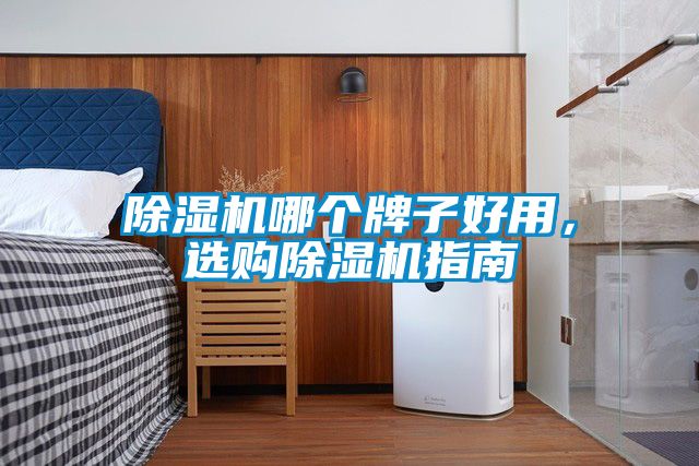 除濕機哪個牌子好用，選購除濕機指南
