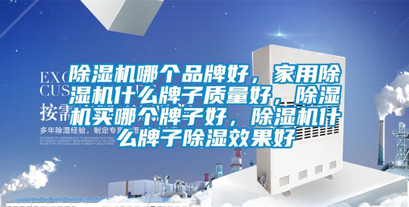 除濕機(jī)哪個(gè)品牌好，家用除濕機(jī)什么牌子質(zhì)量好，除濕機(jī)買(mǎi)哪個(gè)牌子好，除濕機(jī)什么牌子除濕效果好