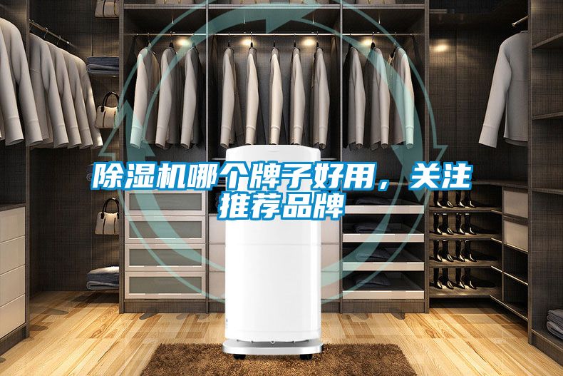 除濕機哪個牌子好用，關(guān)注推薦品牌