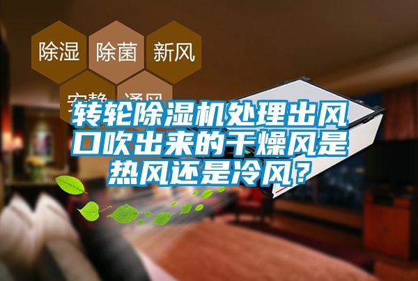 轉(zhuǎn)輪除濕機(jī)處理出風(fēng)口吹出來(lái)的干燥風(fēng)是熱風(fēng)還是冷風(fēng)？