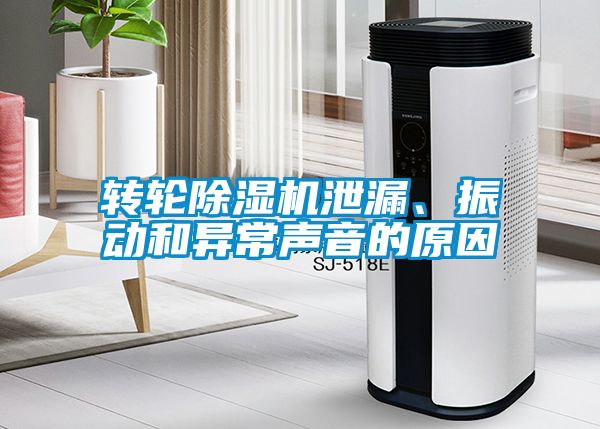 轉(zhuǎn)輪除濕機(jī)泄漏、振動(dòng)和異常聲音的原因