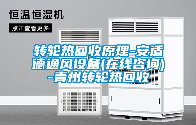 轉(zhuǎn)輪熱回收原理-安適德通風設(shè)備(在線咨詢)-青州轉(zhuǎn)輪熱回收