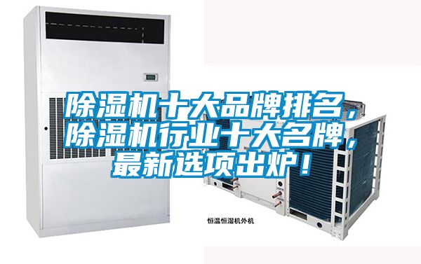 除濕機十大品牌排名，除濕機行業(yè)十大名牌，最新選項出爐！