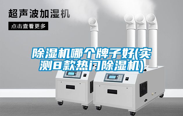 除濕機(jī)哪個(gè)牌子好(實(shí)測(cè)8款熱門除濕機(jī))