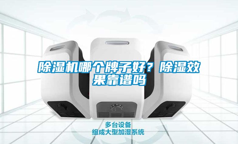 除濕機(jī)哪個(gè)牌子好？除濕效果靠譜嗎
