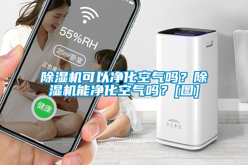除濕機(jī)可以凈化空氣嗎？除濕機(jī)能凈化空氣嗎？[圖]