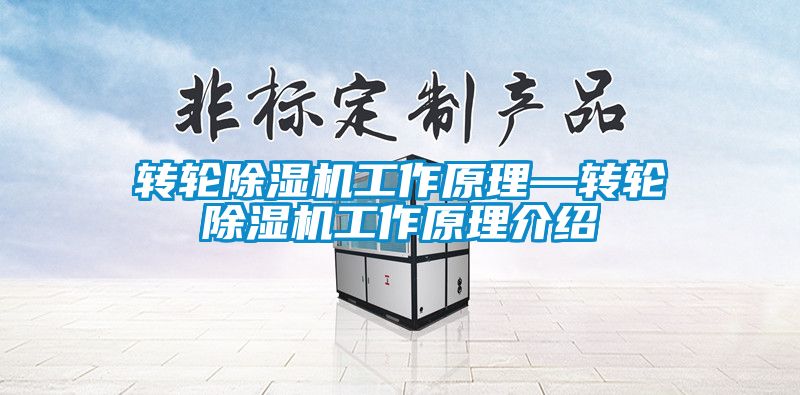 轉(zhuǎn)輪除濕機工作原理—轉(zhuǎn)輪除濕機工作原理介紹